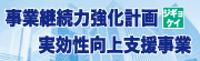 実効性向上支援事業